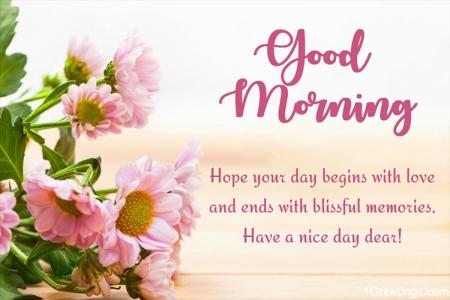 Lovely Good Morning Greeting Cards With Flowers