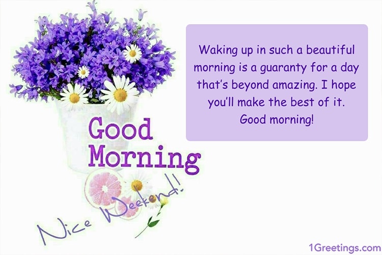 Create Your Own Custom Good Morning Greeting Cards